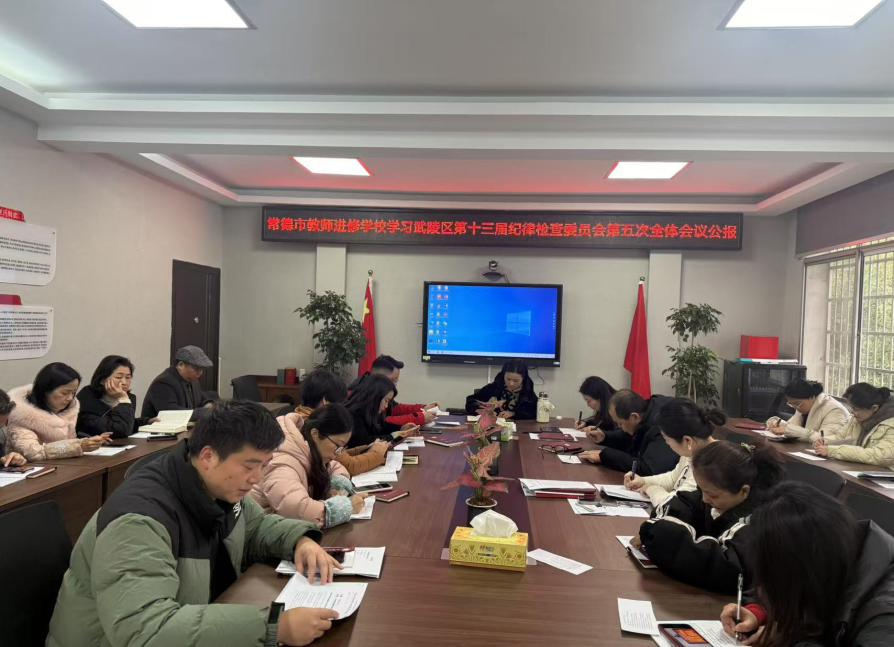 纪委全会