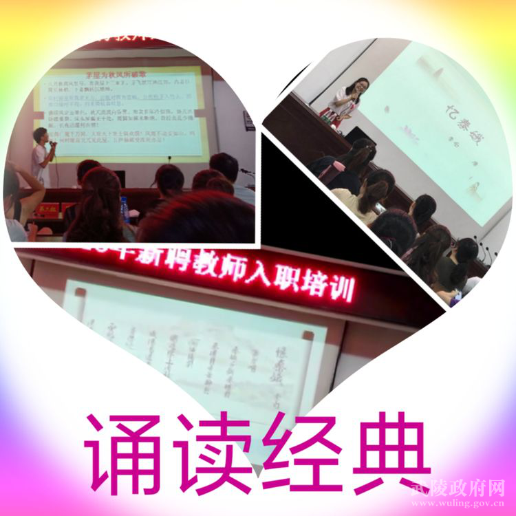 3c505a76bfdf4e5a887545e4fd6cf62b.png